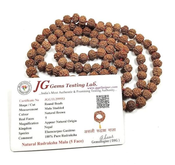Rudraksha Maala 108 Beads Original with Certificate [8mm]